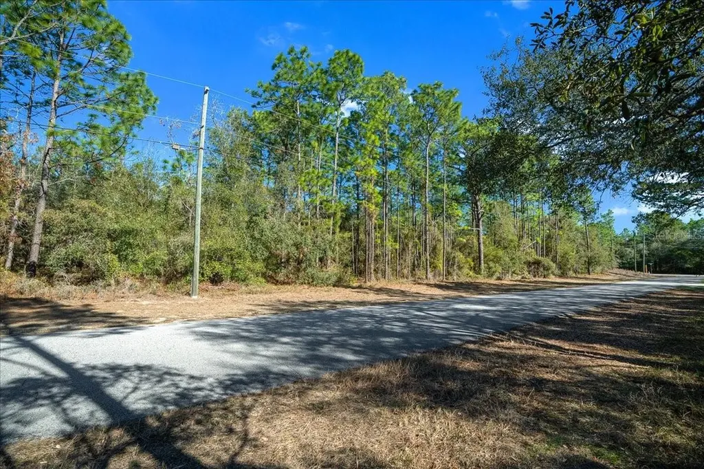 6055 W Ponderosa Place Beverly Hills FL 34465