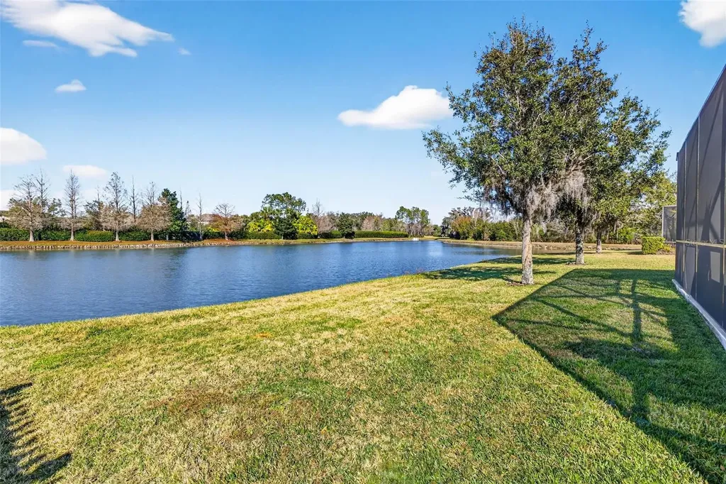 7035 Peregrina Loop Wesley Chapel FL 33545