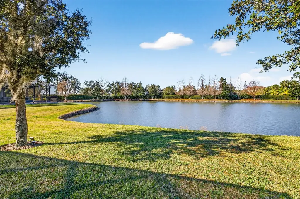 7035 Peregrina Loop Wesley Chapel FL 33545
