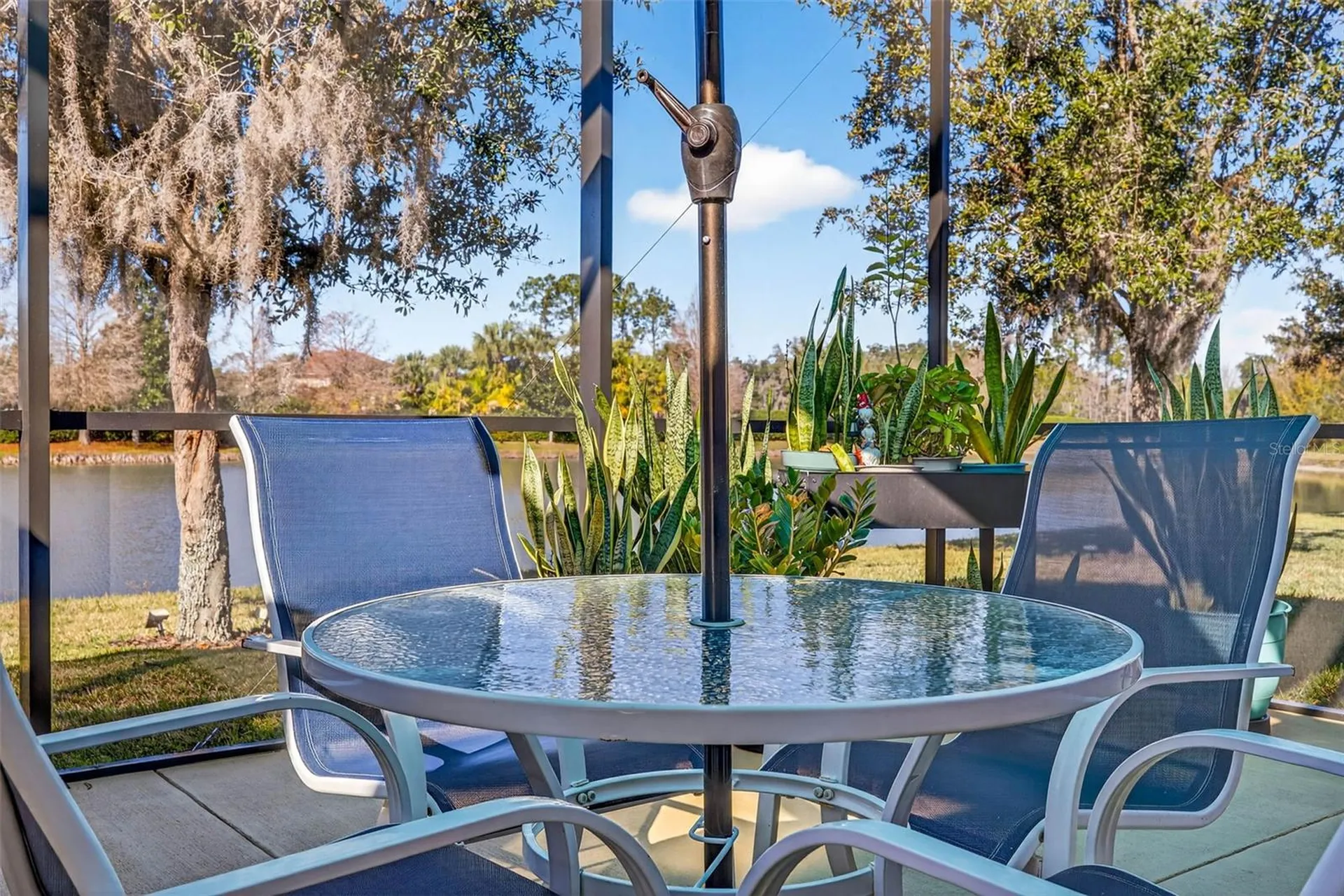 7035 Peregrina Loop Wesley Chapel FL 33545