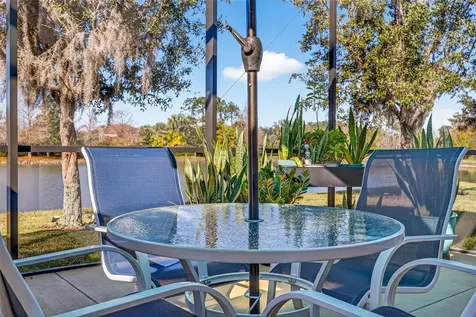 7035 Peregrina Loop Wesley Chapel FL 33545