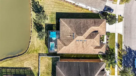 7035 Peregrina Loop Wesley Chapel FL 33545