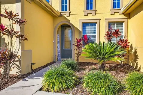 7035 Peregrina Loop Wesley Chapel FL 33545