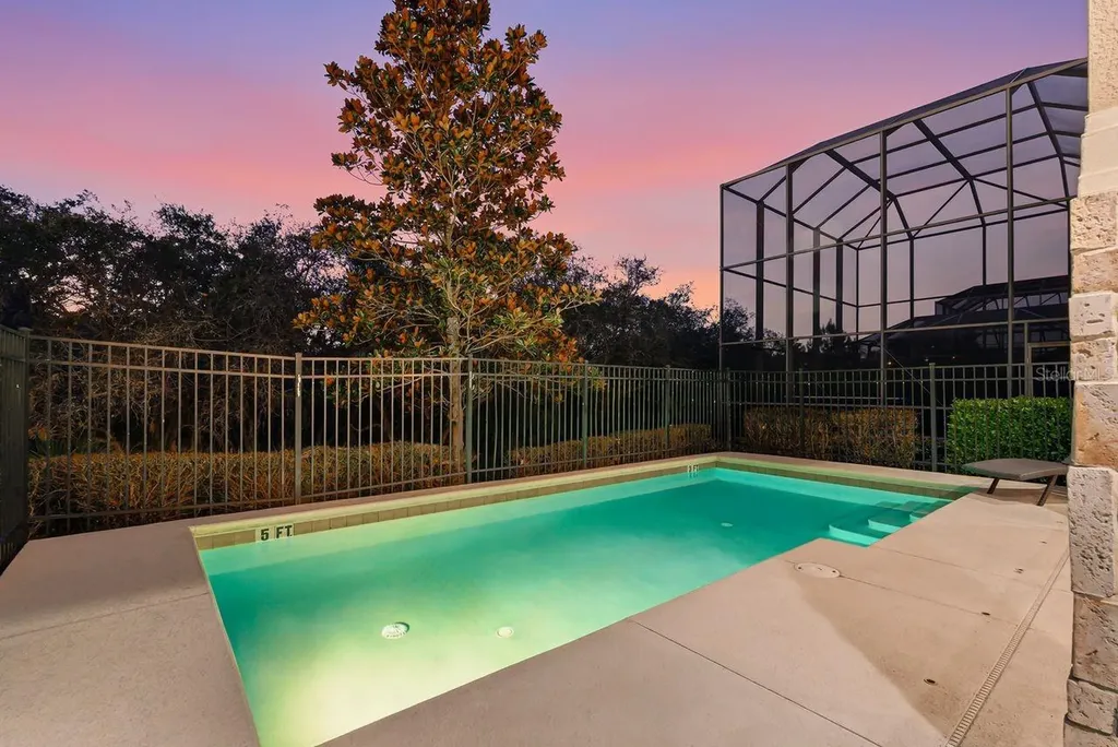 1437 Fairview Circle Reunion FL 34747