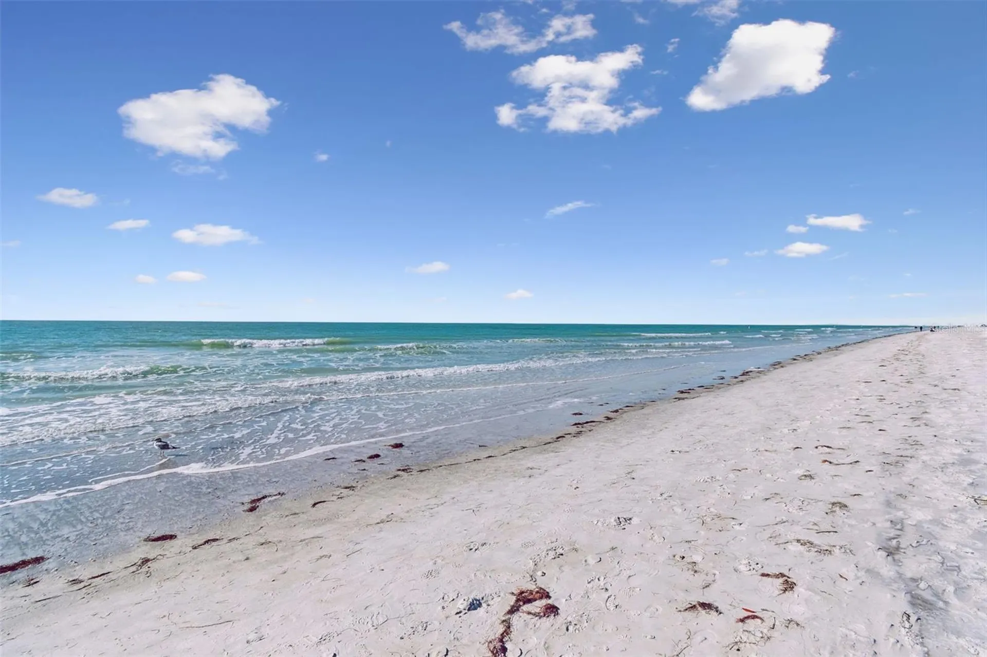 30 Gulf Boulevard Indian Rocks Beach FL 33785