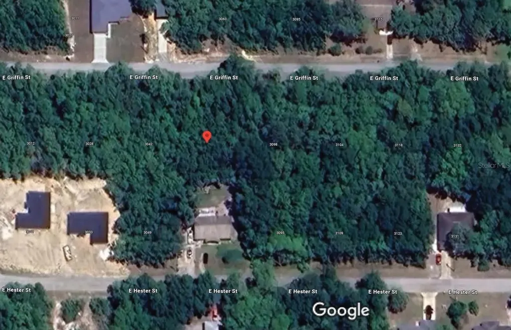 3054 E Griffin Street Inverness FL 34453