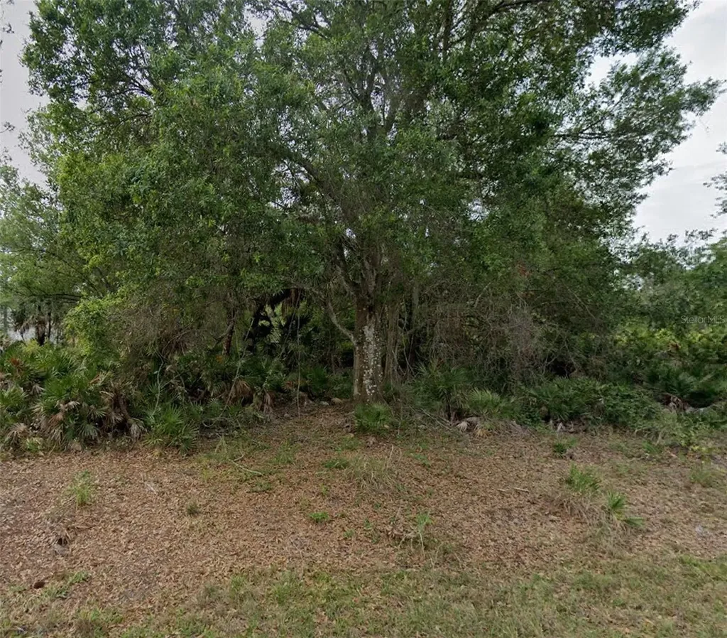 23469 Winthrob Avenue Punta Gorda FL 33980
