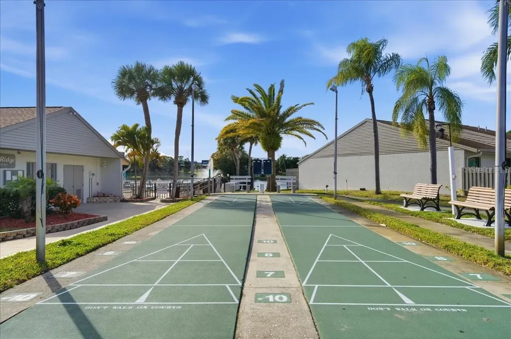 2666 Pine Ridge Way N Palm Harbor FL 34684