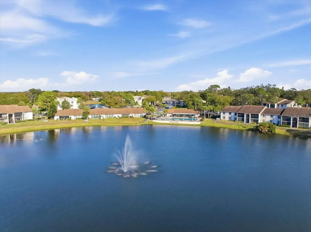 2666 Pine Ridge Way N Palm Harbor FL 34684