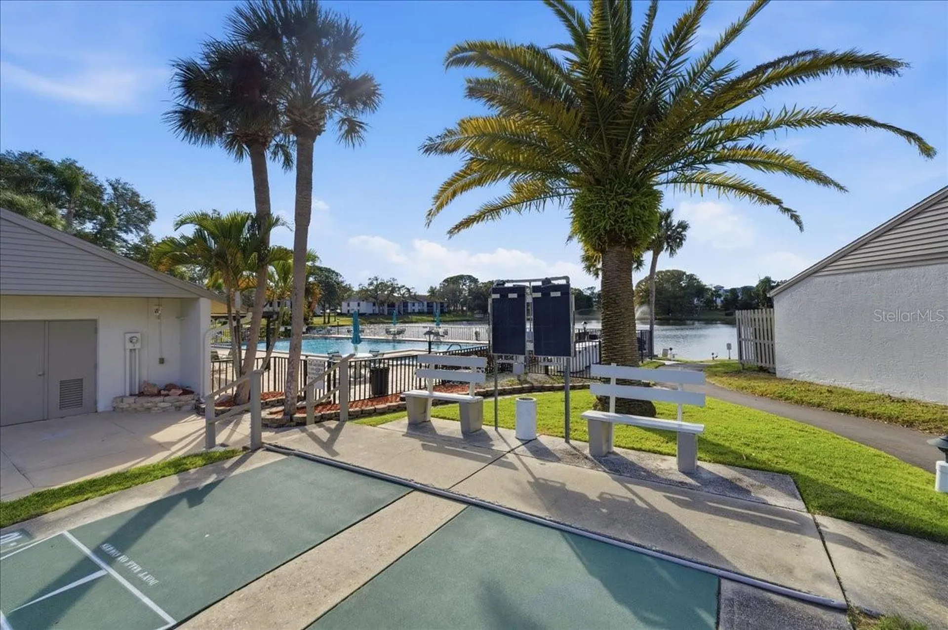 2666 Pine Ridge Way N Palm Harbor FL 34684