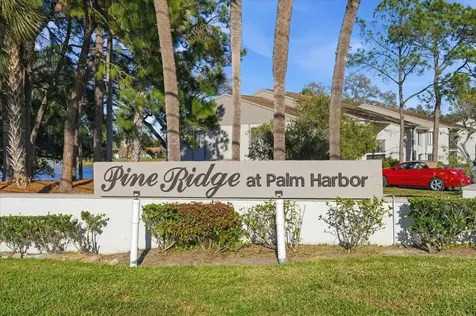 2666 Pine Ridge Way N Palm Harbor FL 34684