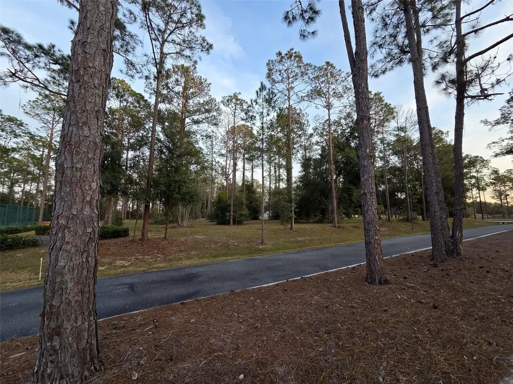 Lot 2 Clearwater Way Groveland FL 34736