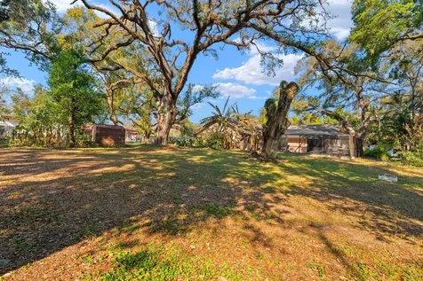 2501 E Diana Street Tampa FL 33610