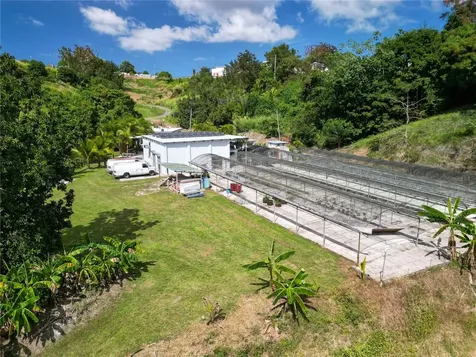 348 Camino Juan Lebron Mayaguez PR 00680
