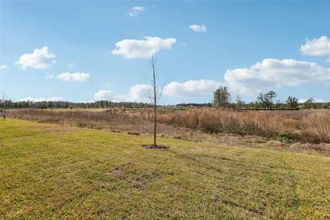 36724 Melstone Way Zephyrhills FL 33541