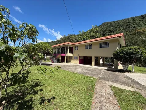Km 4.9 Pr 175 Caguas PR 00725