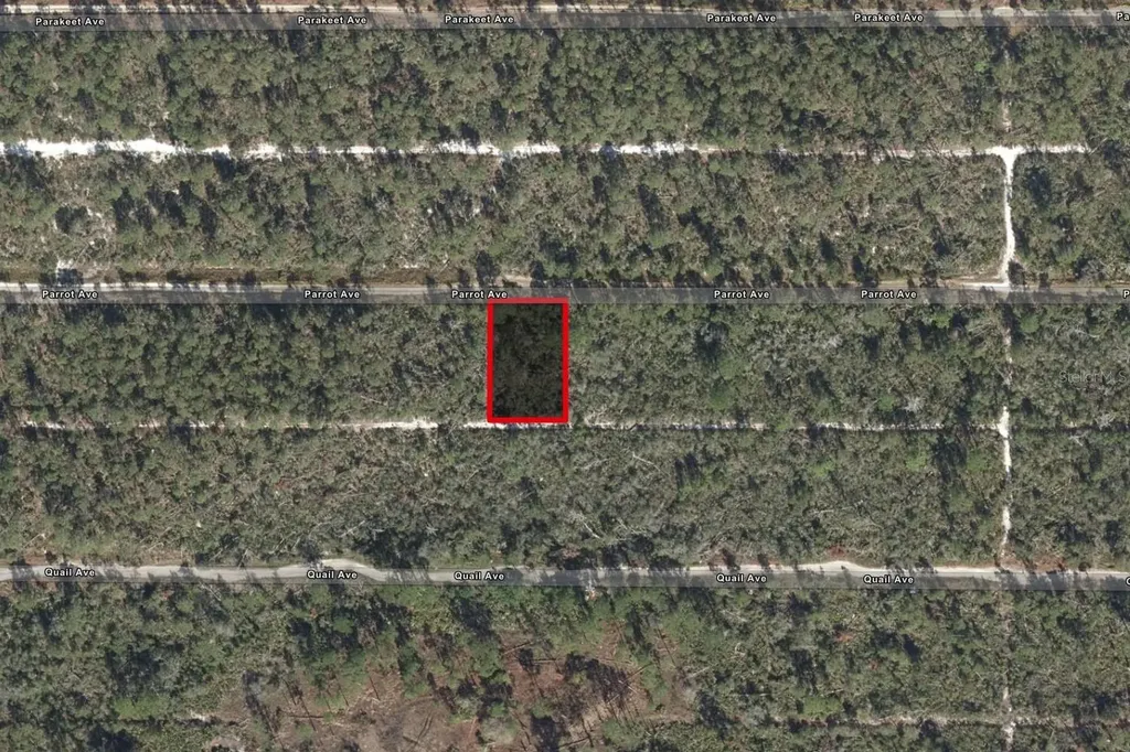533 Parrot Avenue Sebring FL 33872