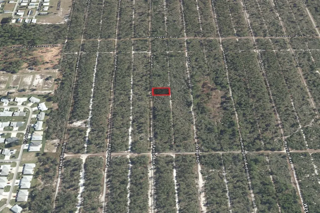 533 Parrot Avenue Sebring FL 33872