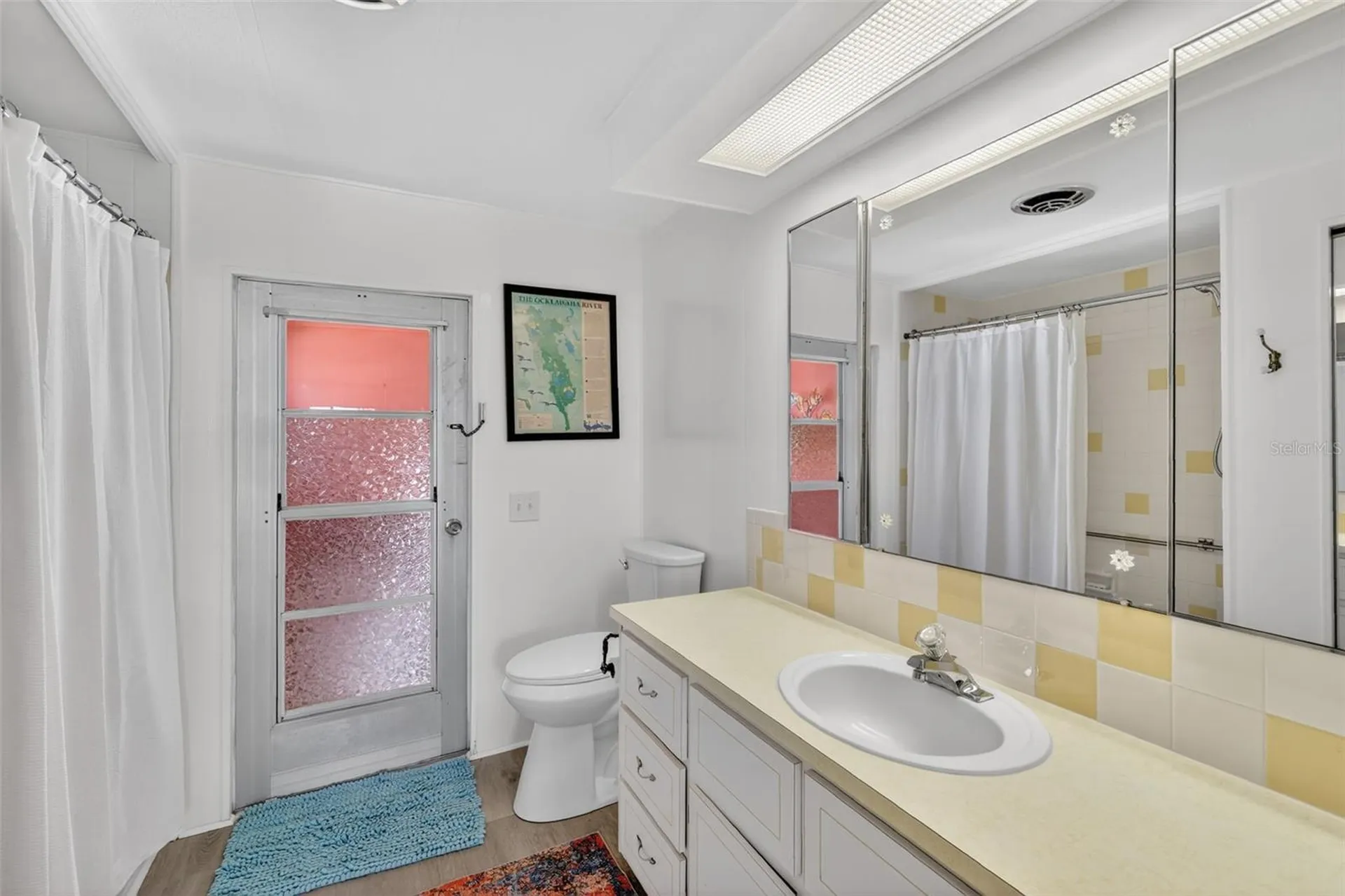 1050 Shawn Court Tavares FL 32778