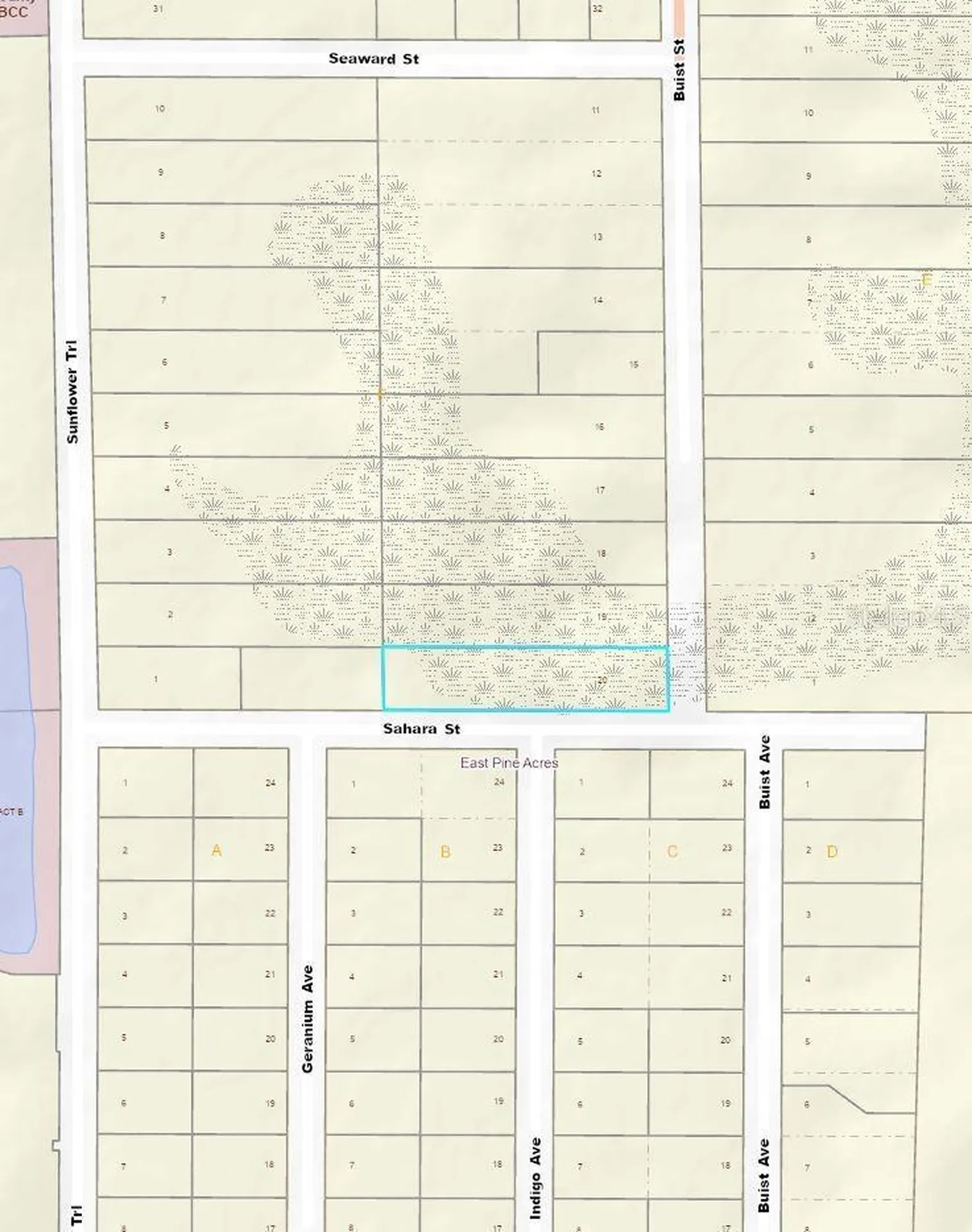 1002 Buist Street Orlando FL 32828