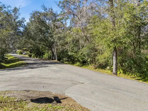 1002 Buist Street Orlando FL 32828