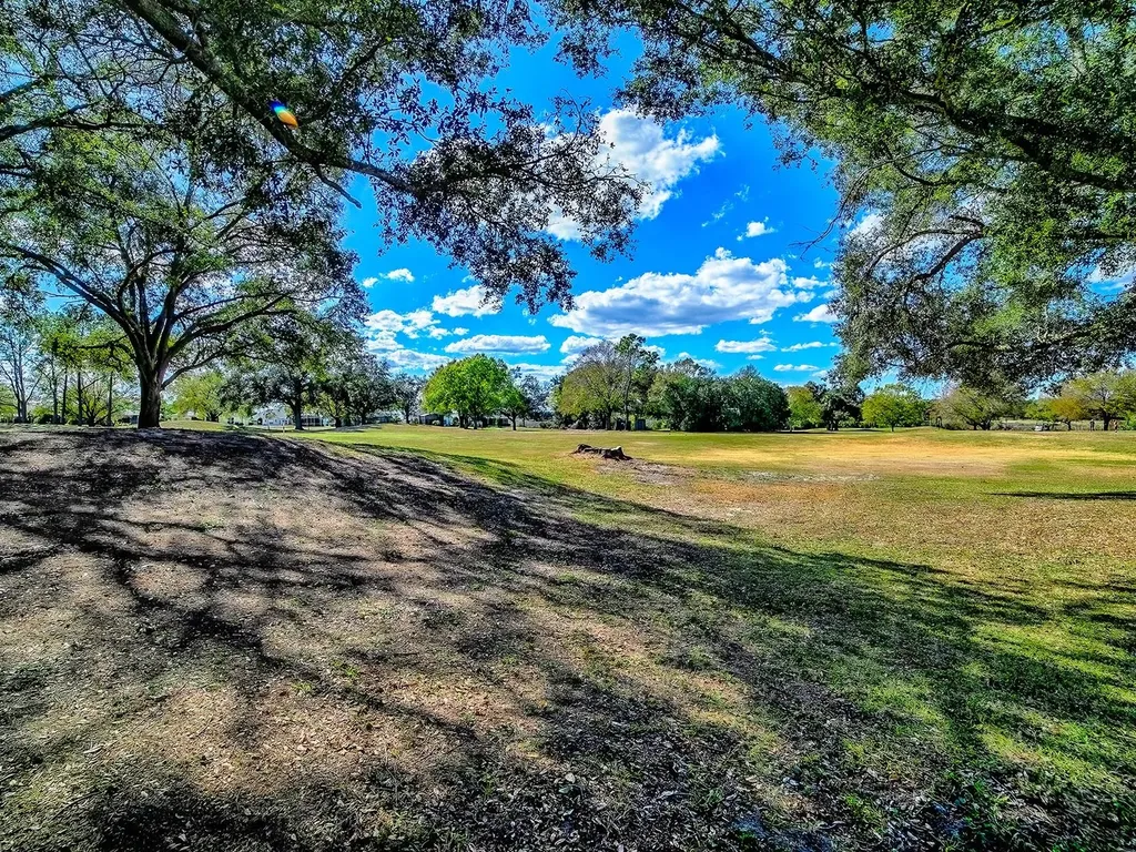 24239 Belle Mede Drive Leesburg FL 34748