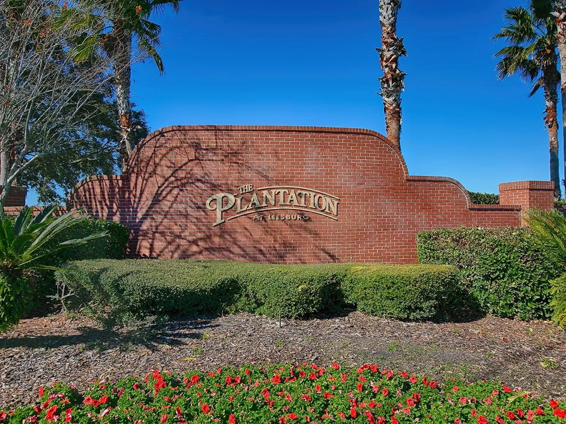 24239 Belle Mede Drive Leesburg FL 34748