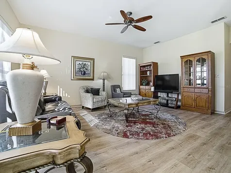 24239 Belle Mede Drive Leesburg FL 34748