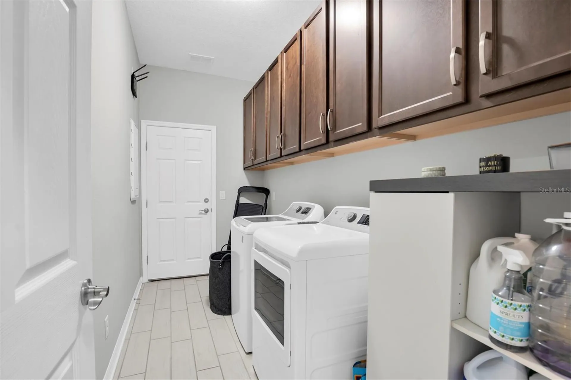 3833 Villamore Lane Odessa FL 33556