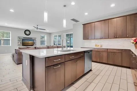 3833 Villamore Lane Odessa FL 33556
