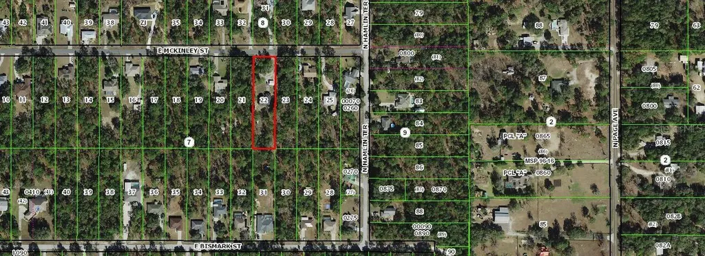 1724 E Mckinley Street Hernando FL 34442