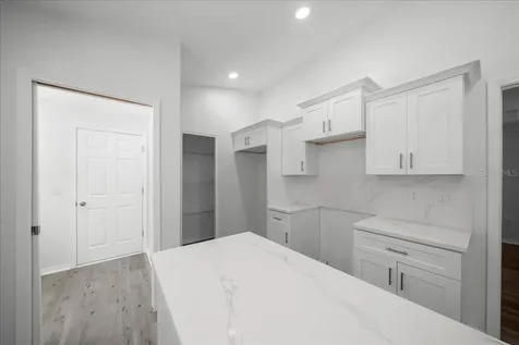 11 Sequoia Loop Place Ocklawaha FL 32179