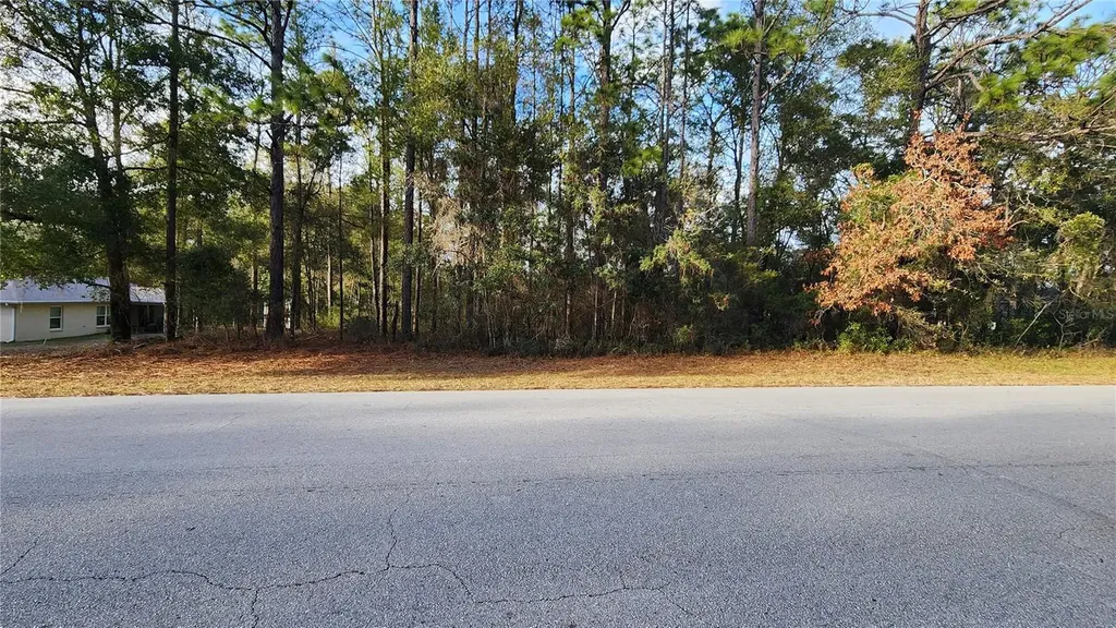 7954 N Golfview Drive Citrus Springs FL 34434