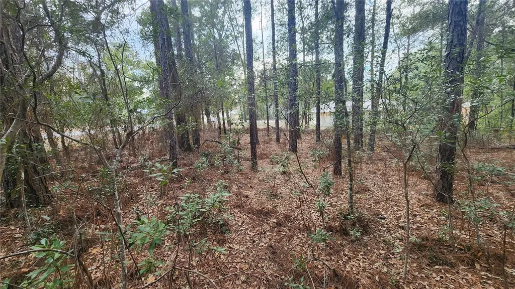 7954 N Golfview Drive Citrus Springs FL 34434