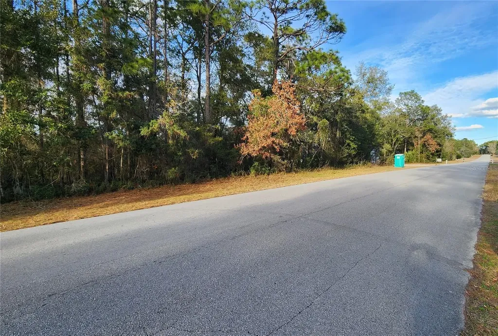 7954 N Golfview Drive Citrus Springs FL 34434