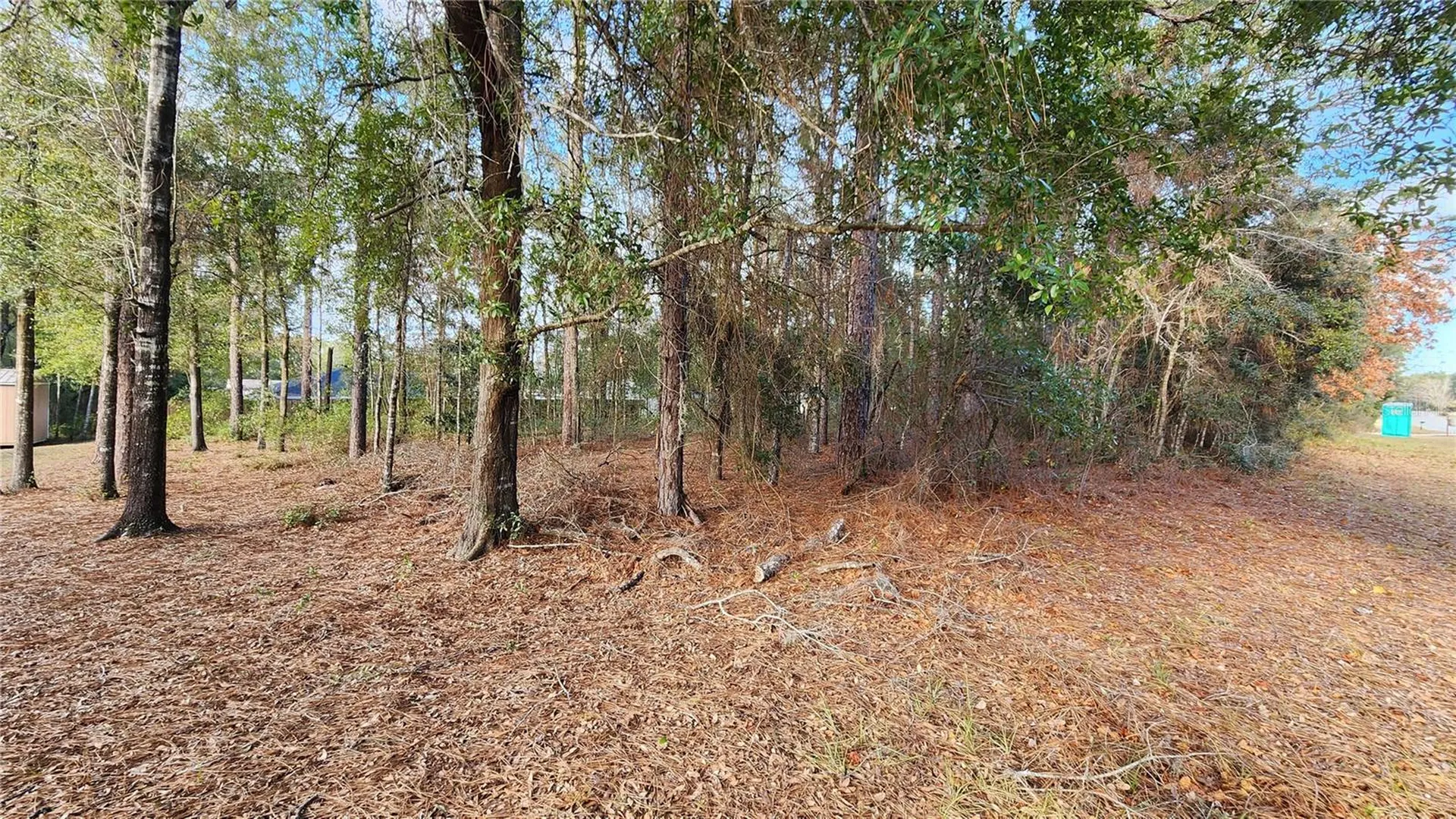 7954 N Golfview Drive Citrus Springs FL 34434