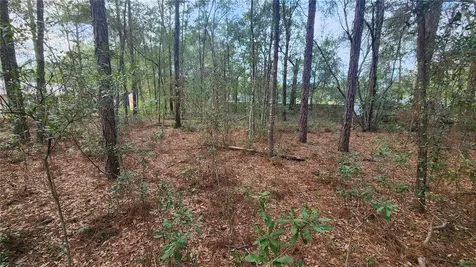 7954 N Golfview Drive Citrus Springs FL 34434