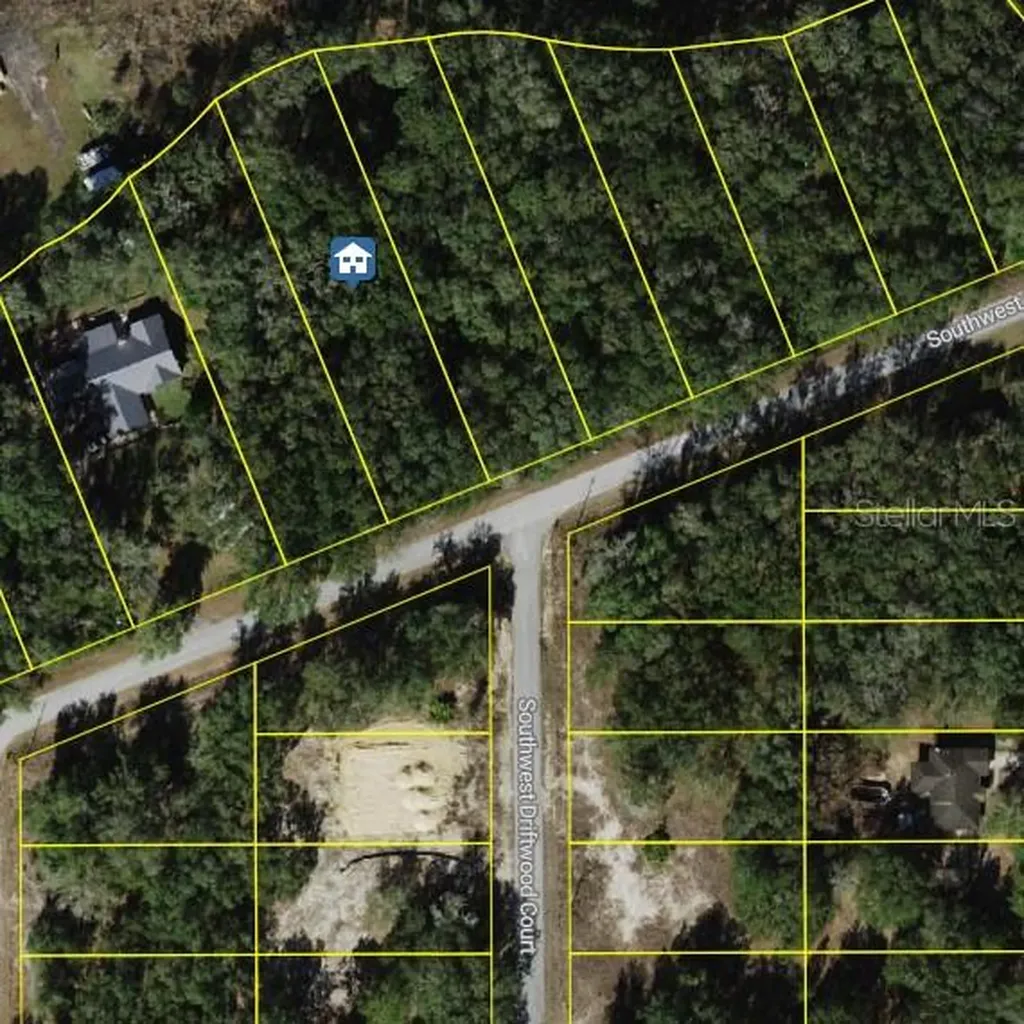 Lot 163 SW Shorewood Drive Dunnellon FL 34431