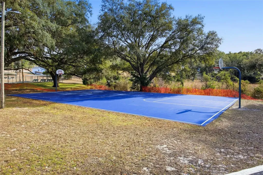 Lot 163 SW Shorewood Drive Dunnellon FL 34431