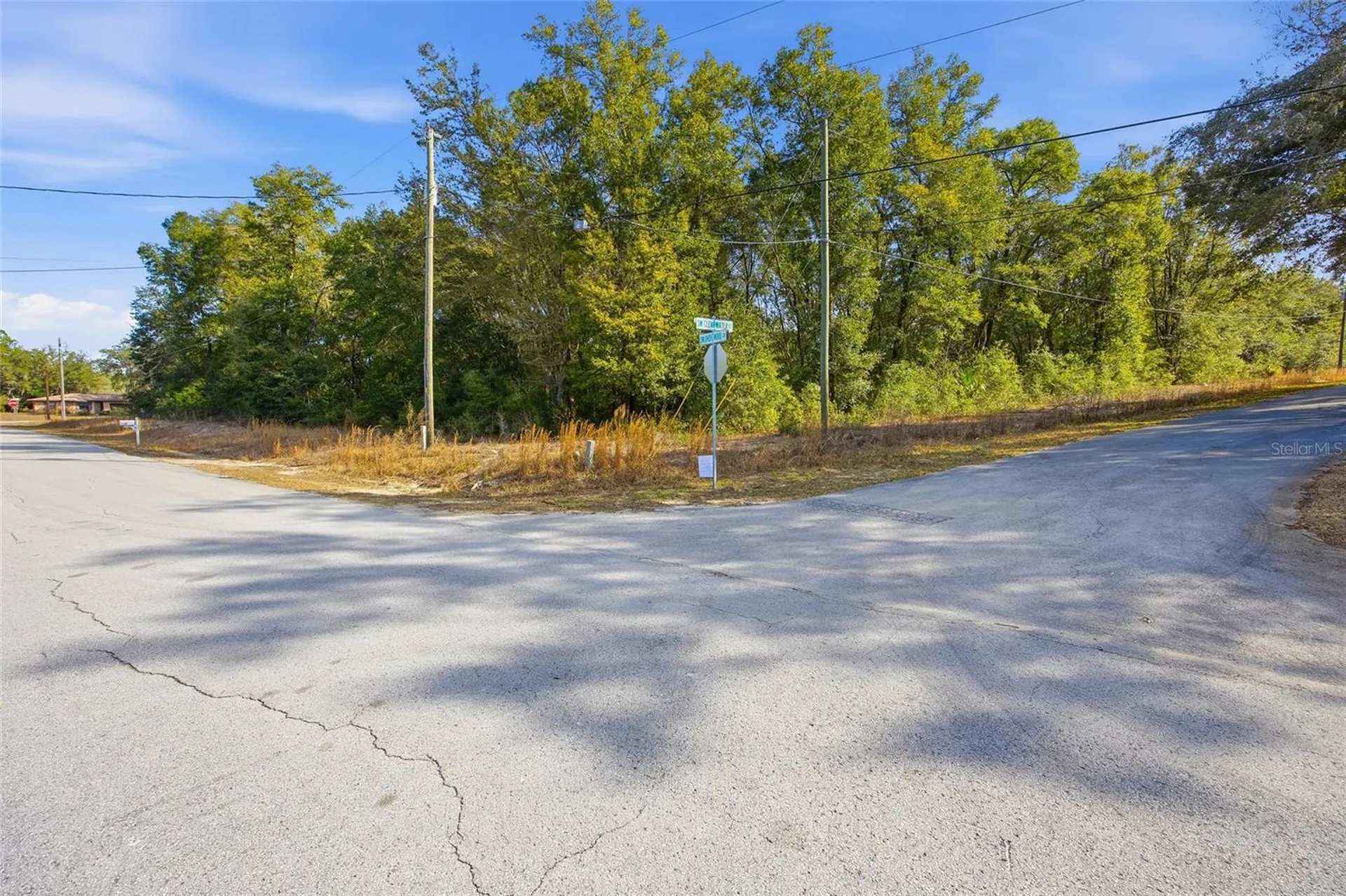 Lot 163 SW Shorewood Drive Dunnellon FL 34431