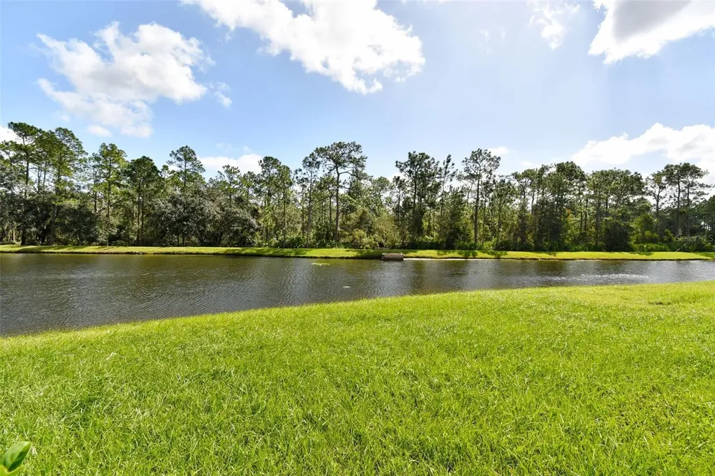 20461 Berrywood Lane Tampa FL 33647