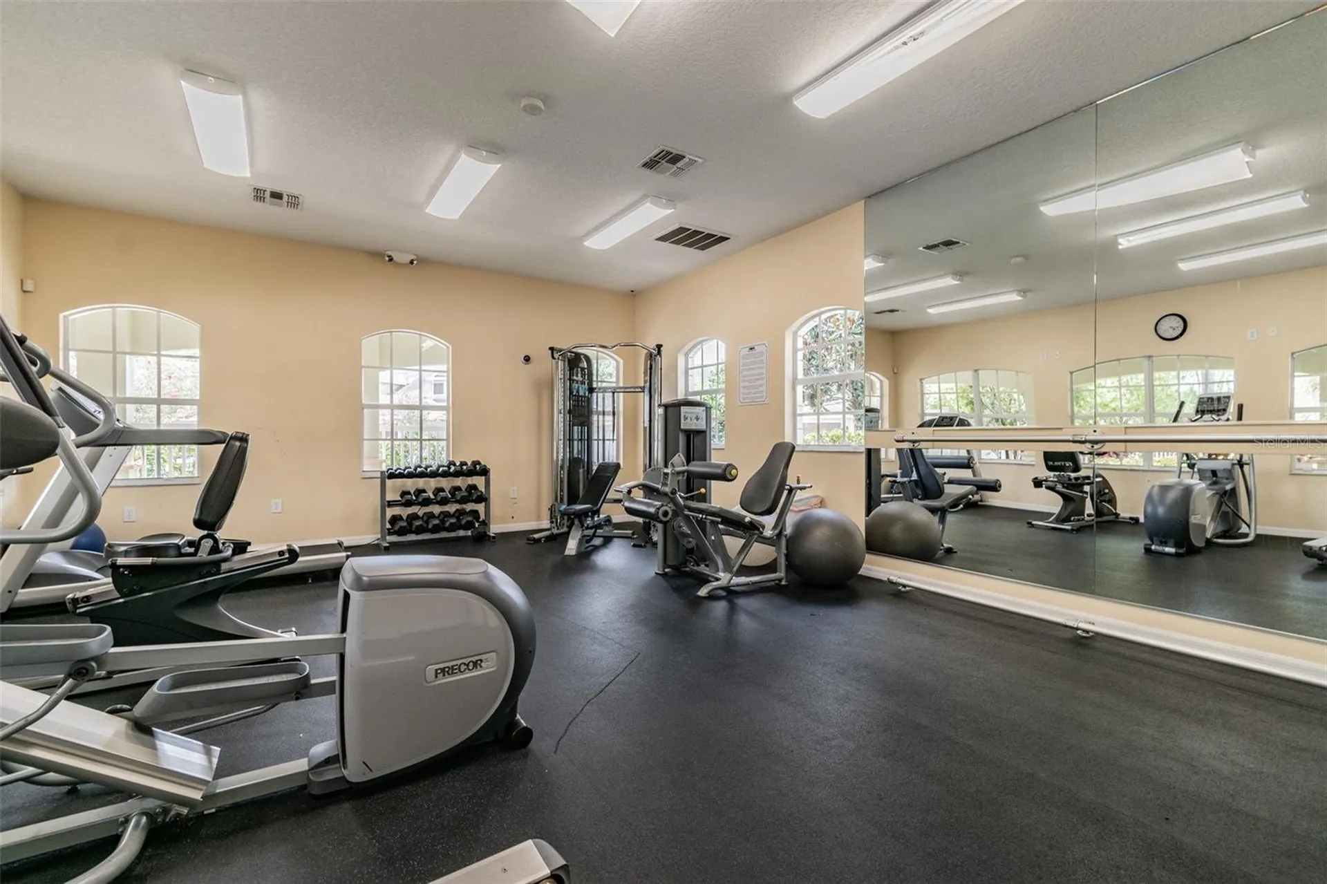 20461 Berrywood Lane Tampa FL 33647