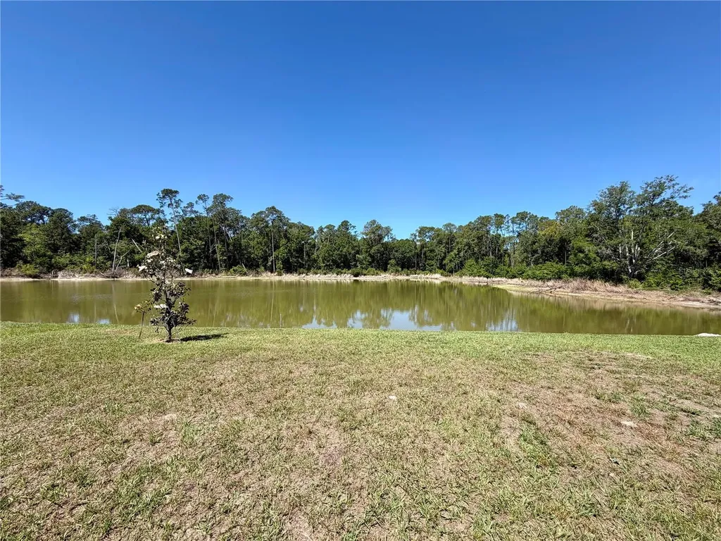 2803 Lotus Flower Trail Wesley Chapel FL 33543