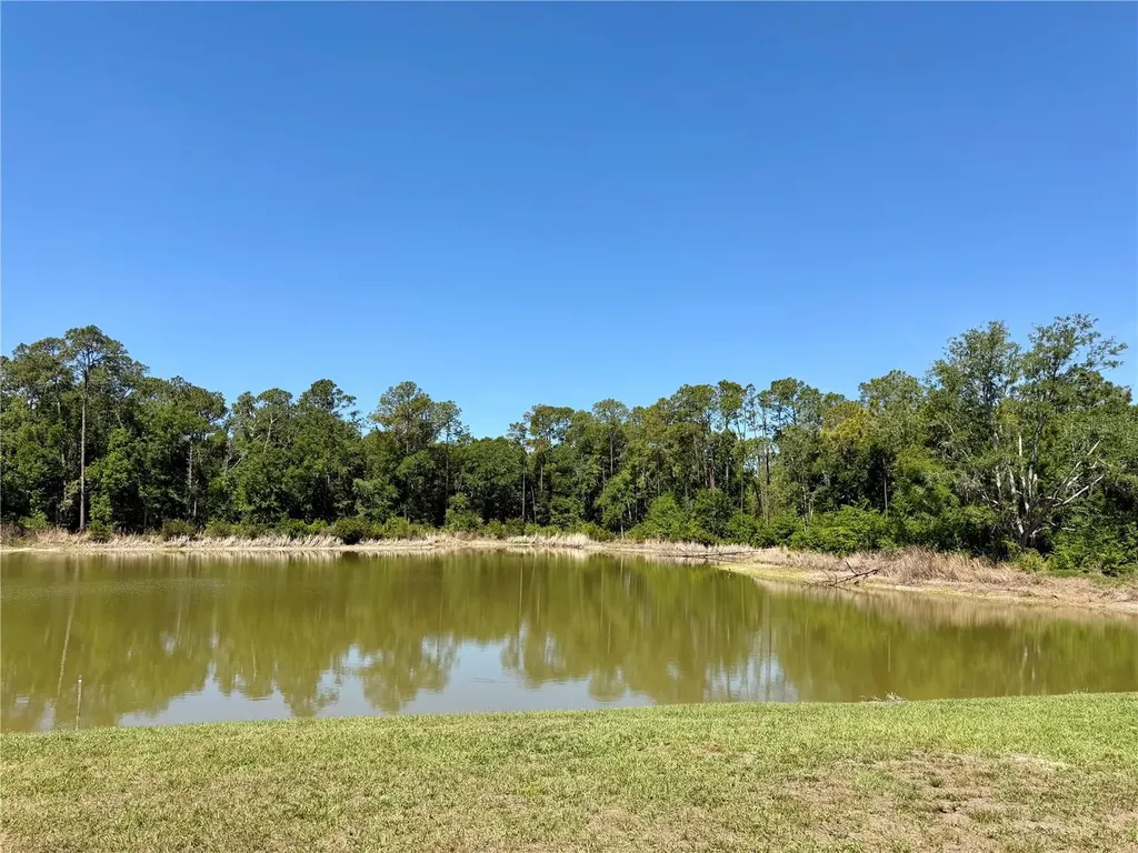 2803 Lotus Flower Trail Wesley Chapel FL 33543