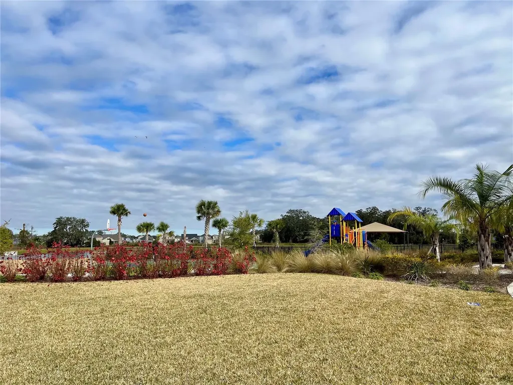 2803 Lotus Flower Trail Wesley Chapel FL 33543