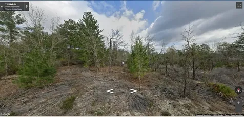 118 Linda Lane Interlachen FL 32148