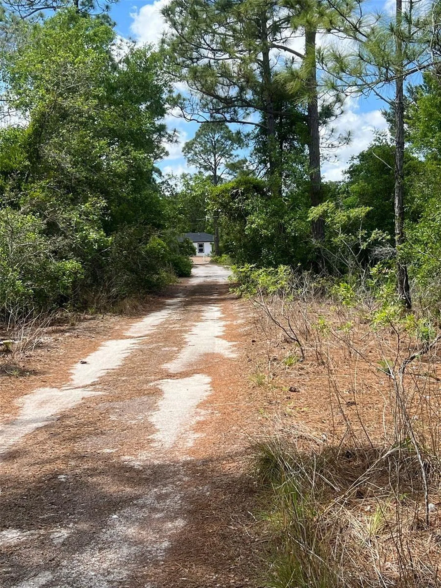 331 Tanager Avenue Sebring FL 33870