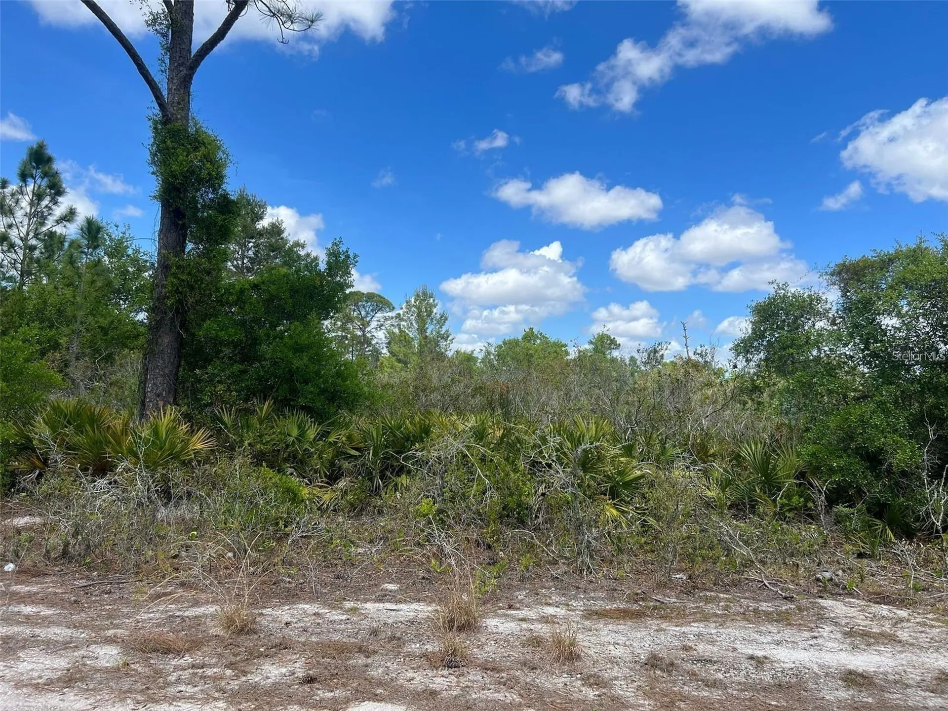 331 Tanager Avenue Sebring FL 33870