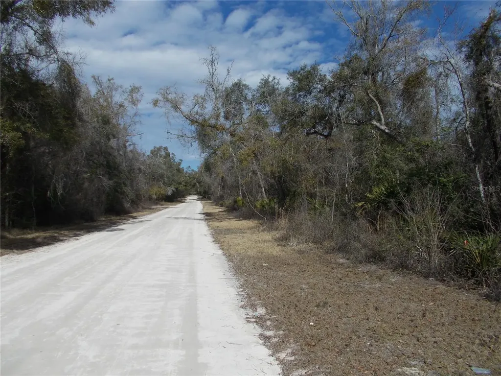 0000 NE 836th Street Old Town FL 32680
