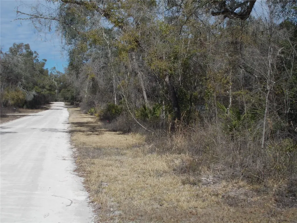 0000 NE 836th Street Old Town FL 32680